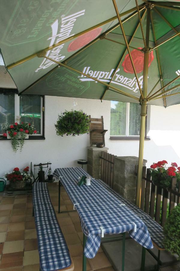 Horsky Pension Gendorf チェルニー・ドゥール エクステリア 写真